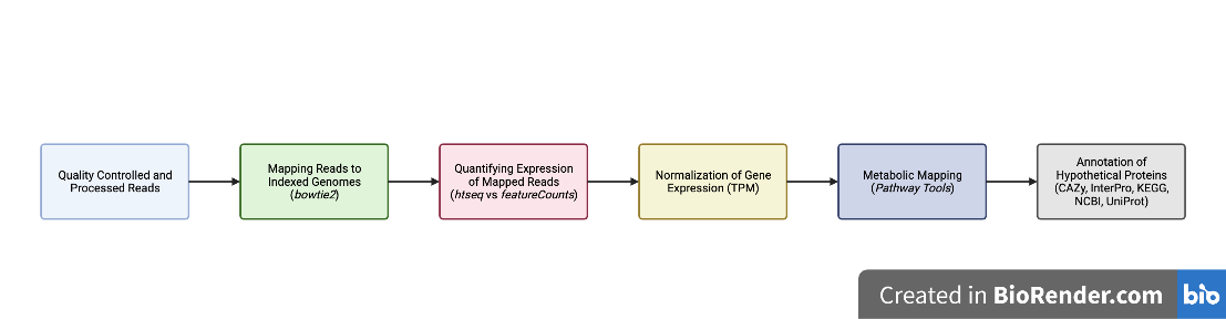 Flowchart of cleaning RNA-seq data and identifying enzymatic pathways